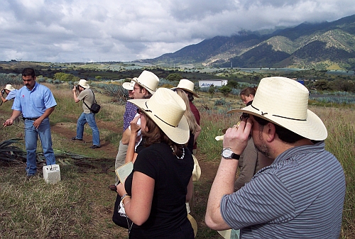 Tequila tourism