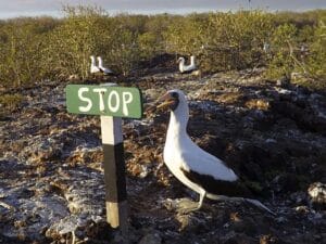 stop following terrible blogging advice